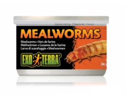 Exo Terra Mealworms 34gm