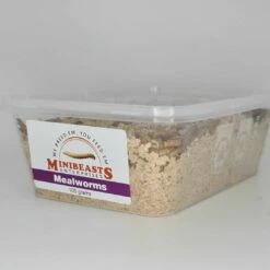 Minibeasts Mealworms 100g