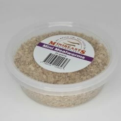 Minibeasts Mini Mealworms 25g