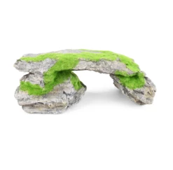 Natural Rock Bridge With Textured Moss