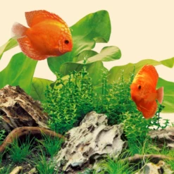 Juwel Nature LED Light Tube 590mm 14w -EXO TERRA Sales Shop natureledjuwel