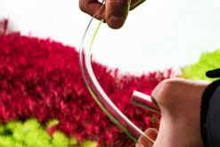 Aquario Neo Premium Flow L For 16/22mm -EXO TERRA Sales Shop nf4