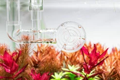 Aquario Neo Premium Flow L For 16/22mm -EXO TERRA Sales Shop nfp2