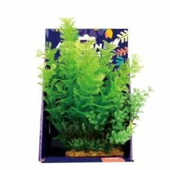 Amazon Jungle Mixed Variety Display 20cm