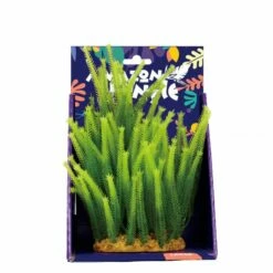 Amazon Jungle Micro Fern Display 20cm