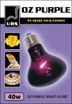 URS Oz Purple Small Night Globe 40W