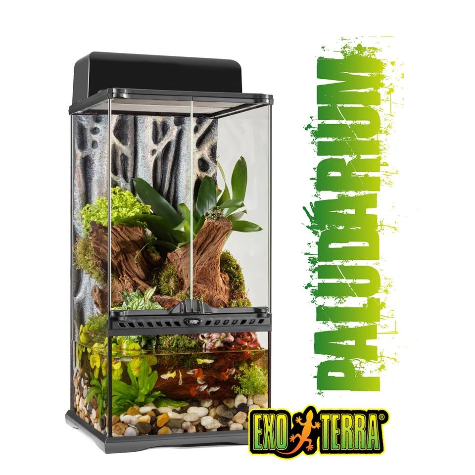 Exo Terra X-Tall Mini Paludarium (Terrarium) 30x30x60cm 2 Exo Terra X-Tall Mini Paludarium (Terrarium) 30x30x60cm - Image 2