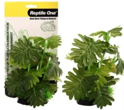Reptile One Philodendron Selloum 20cm