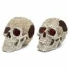 Penn Plax Skull Gazers 17.2cm (RR1202)