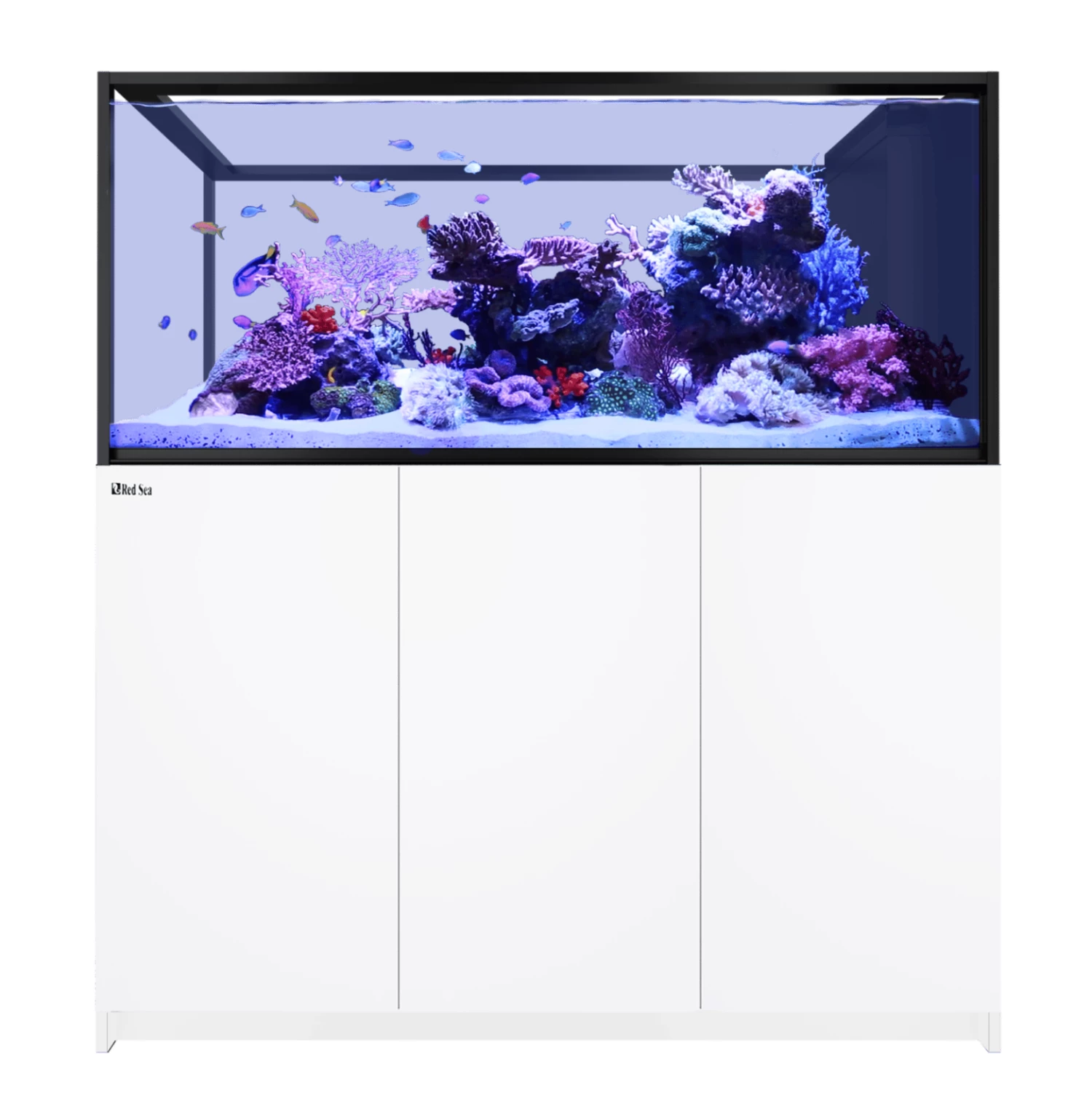 Red Sea REEFER G2+ Peninsula S 700 BLACK 5 Red Sea REEFER G2+ Peninsula S 700 BLACK - Image 5