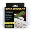 Tub Exo Terra Reptile Incubation Tub