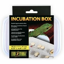 Tub Exo Terra Reptile Incubation Tub
