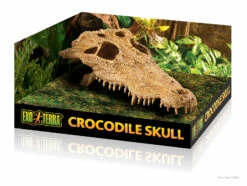 Exo Terra Crocodile Skull Medium -EXO TERRA Sales Shop pt2856 crocodile skull packaging