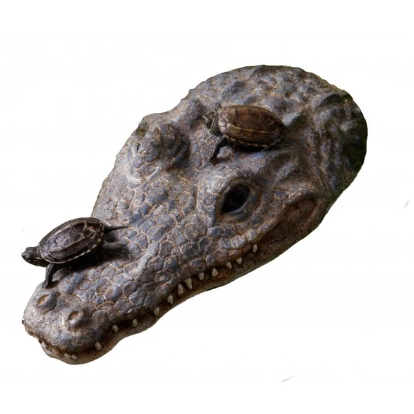 Exo Terra Turtle Island - Croc 2 Exo Terra Turtle Island - Croc - Image 2