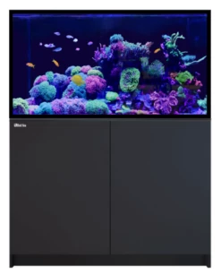 Red Sea REEFER G2+ S-550 BLACK