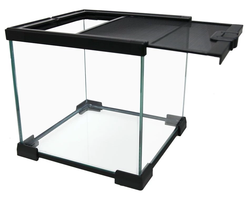 Reptile One Mini T2 Glass Terrarium 20x20x20cm 3 Reptile One Mini T2 Glass Terrarium 20x20x20cm - Image 3