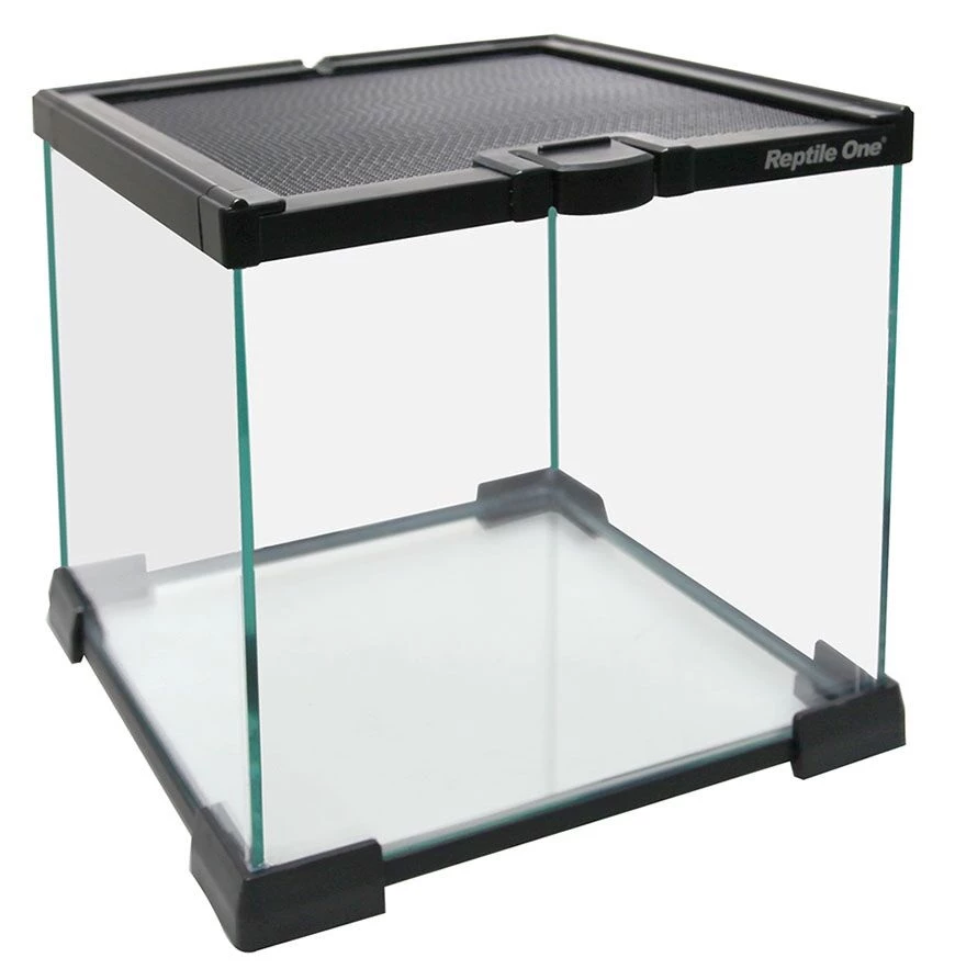 Reptile One Mini T2 Glass Terrarium 20x20x20cm 2 Reptile One Mini T2 Glass Terrarium 20x20x20cm - Image 2