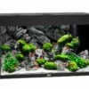 Juwel Rio 125 LED Aquarium - Black