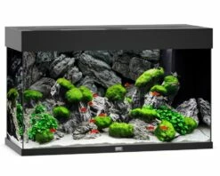 Juwel Rio 125 LED Aquarium - Black