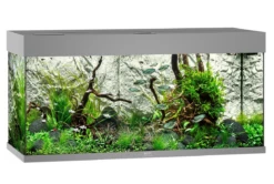 Juwel Rio 180 LED Aquarium - Black -EXO TERRA Sales Shop rio180greyaquarium