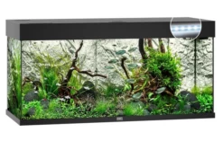 Juwel Rio 180 LED Aquarium - Black
