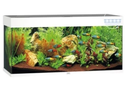 Juwel Rio 180 LED Aquarium - Black -EXO TERRA Sales Shop rio180whiteaquarium