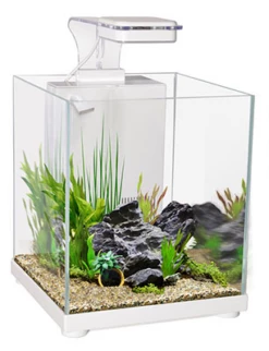 Aqua One Betta Sanctuary (10L) BLACK -EXO TERRA Sales Shop sanctuarywhite