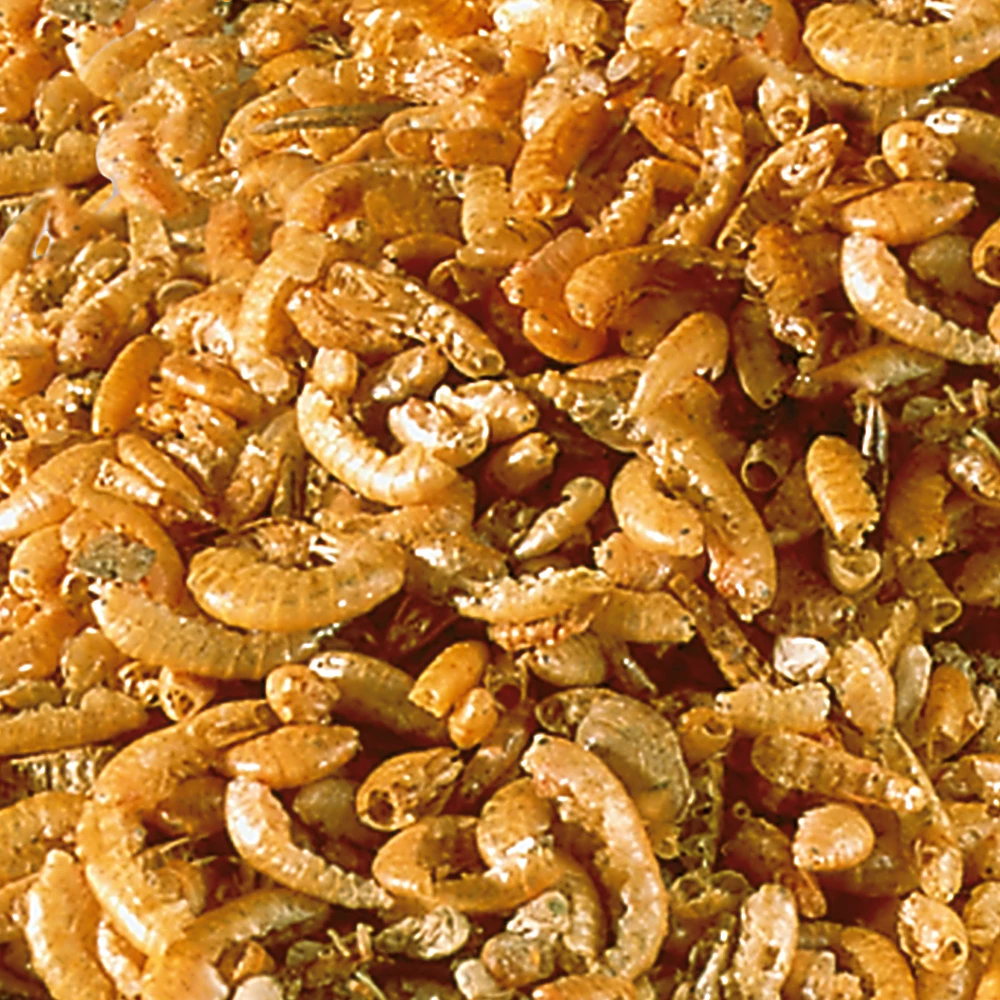 Sera Reptil Raffy I 35g/250ml 2 Sera Reptil Raffy I 35g/250ml - Image 2