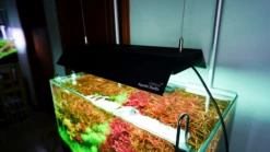 Chihiros Shade For RGB Vivid 2 BLACK 9 Chihiros Shade For RGB Vivid 2 BLACK -EXO TERRA Sales Shop shadeforvivid2