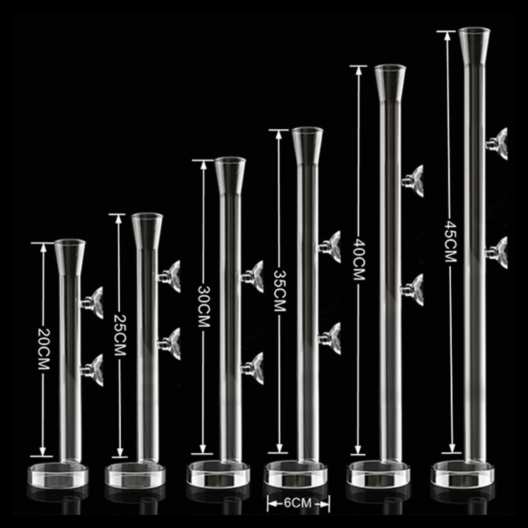 Glass Shrimp Feeder 20cm 2 Glass Shrimp Feeder 20cm - Image 2