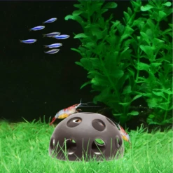 Shrimp Shelter Semicircle Ceramic Hide 7 Shrimp Shelter Semicircle Ceramic Hide -EXO TERRA Sales Shop shrimpsheltercircledomehide