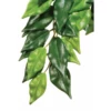 Exo Terra Hanging Rain Forest Silk Plant - Ficus Small