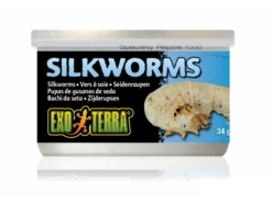 Exo Terra Wild Silkworms Medium 34gm