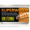 Exo Terra Canned Superworms 34gm