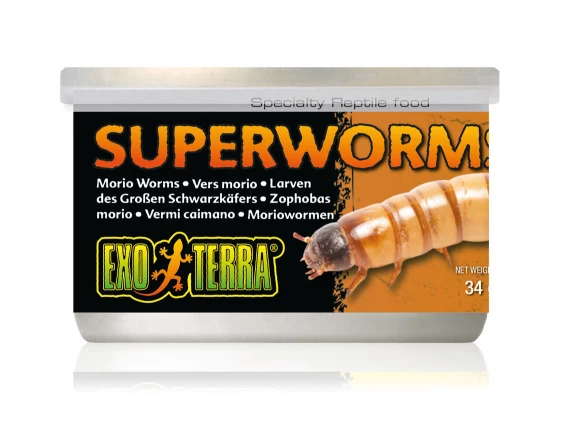 Exo Terra Canned Superworms 34gm 1 Exo Terra Canned Superworms 34gm