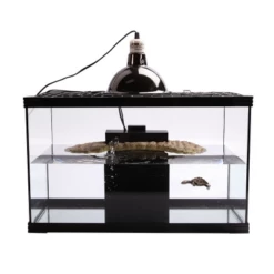 Reptile One Turtle Nursery Kit