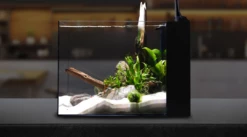 Waterbox Cube Peninsula 15 8 Waterbox Cube Peninsula 15 -EXO TERRA Sales Shop waterboxpeninsularminifresh