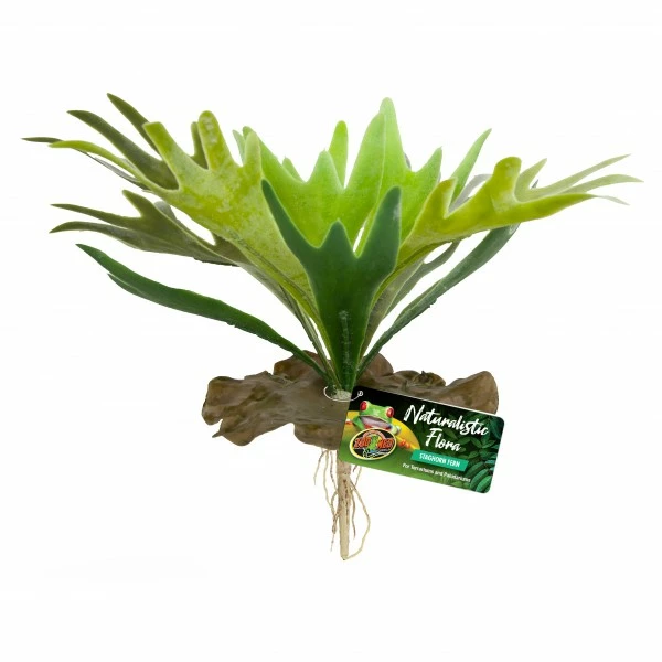 Zoo Med Staghorn Fern 1 Zoo Med Staghorn Fern